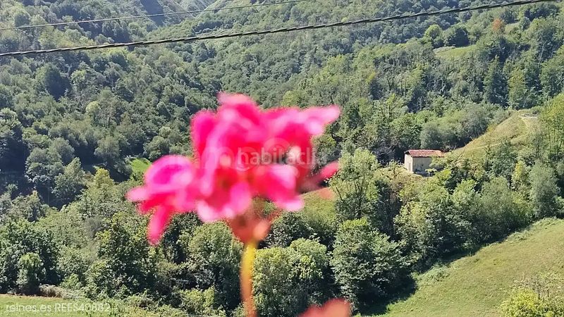 Foto c907f73b-24e6-412b-80fc-4e06a05f9c14. Chalet avec chauffage dans Onís