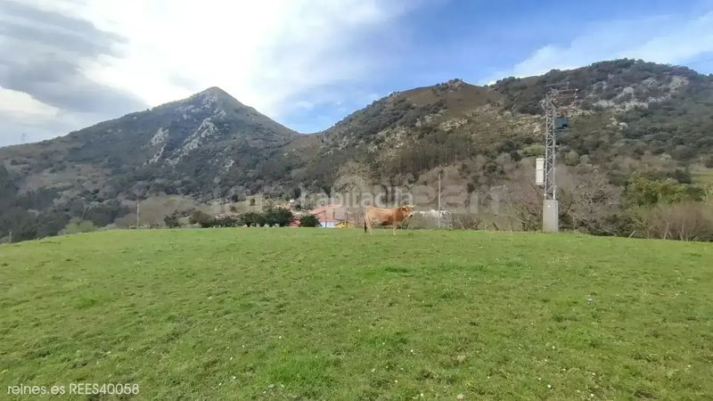 Foto a9e18375-8605-4202-bfe0-955a193b4f93. Terreny residencial a Peñamellera Baja