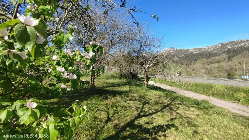 Foto a175930f-c3c4-47ba-b824-40c39613b153. Terreny residencial a Vibaña-Ardisana-Caldueño Llanes