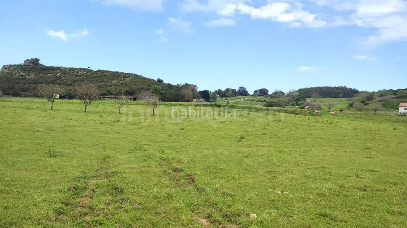 Foto f2c47ec4-1e07-45ab-8b63-8ca6035fa28a. Finca rústica a Celorio-Poó-Parres Llanes