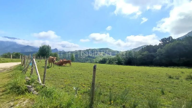 Foto 255bac1e-6f89-4287-82e6-4334349cad3b. Finca rústica a Cabrales