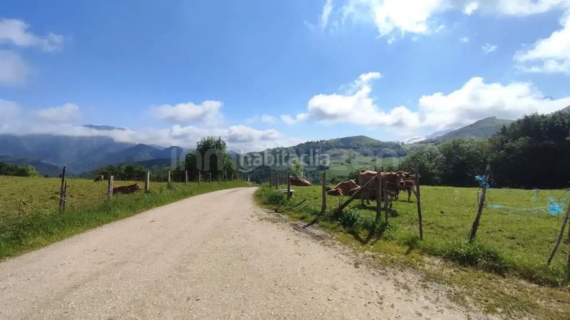 Foto 6f2d04cf-6558-44ae-92ad-e9ee04391820. Finca rústica a Cabrales