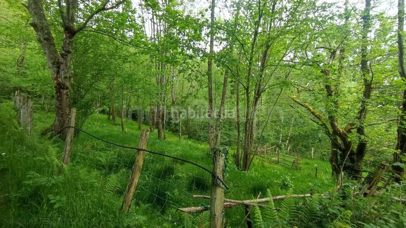 Foto 0a4bb35b-c947-49e5-af1e-8a41ff720667. Masia a Cabrales
