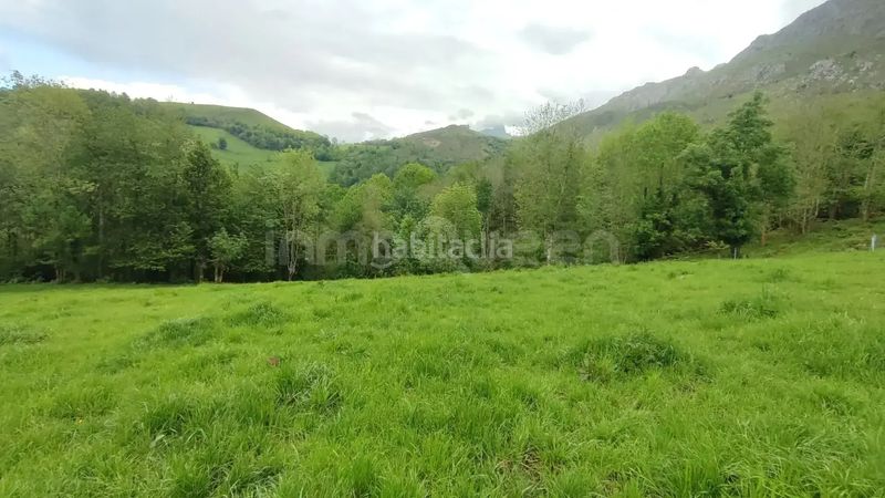 Foto 3db9199d-766f-4192-9cde-69f165f26698. Masia a Cabrales