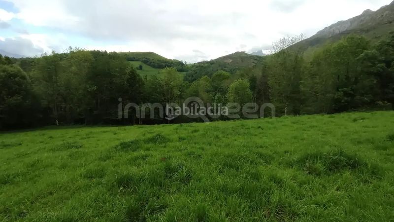 Foto 859c2c81-3943-4f29-9d9f-03f803bce64a. Masia a Cabrales