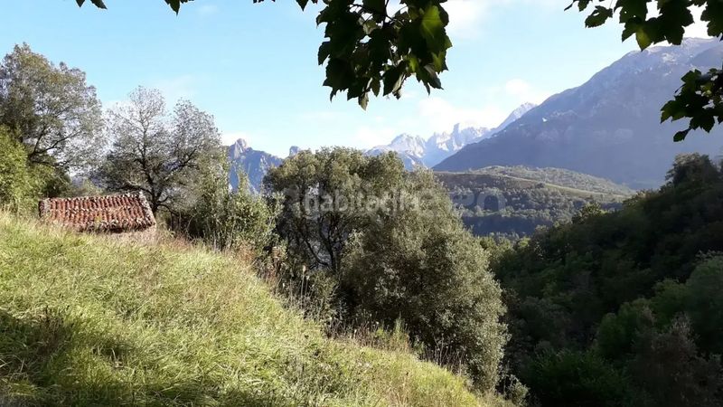 Foto 321f0ee6-7bae-4c64-8c29-6a9fa346f69a. Finca rústica a Cabrales