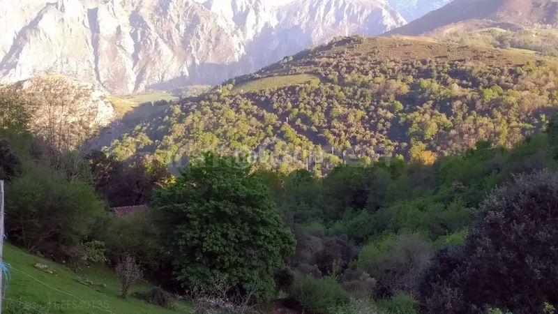 Foto a726f999-2e27-4584-9599-ab9f2b607ce0. Finca rústica a Cabrales