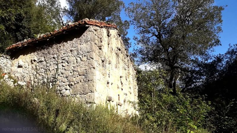 Foto c48a0e77-eb2b-4c58-9286-835f2c606d64. Finca rústica a Cabrales
