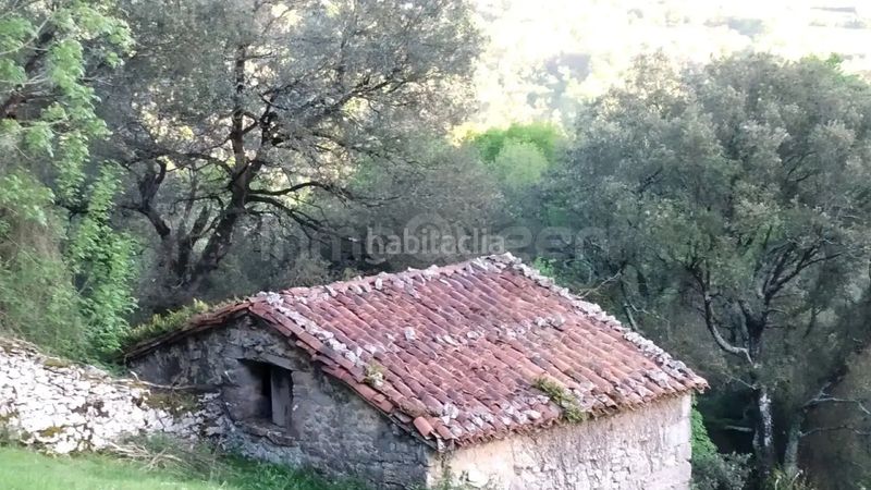 Foto e9308c9b-5015-49b5-9bcb-d954f124845f. Finca rústica a Cabrales