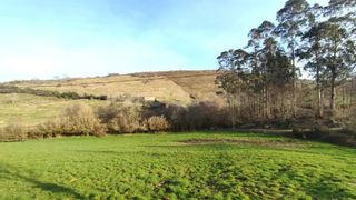 Rural plot  N/a. Venta de terreno rústico en peñamellera baja  rees40169