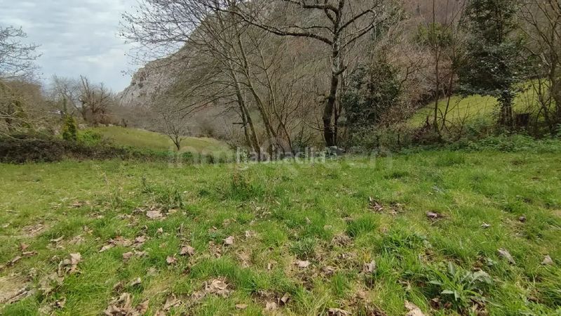 Foto bdadfa86-8a5c-432d-9d87-781b74eaa0a7. Terreny residencial a Posada-Barro Llanes