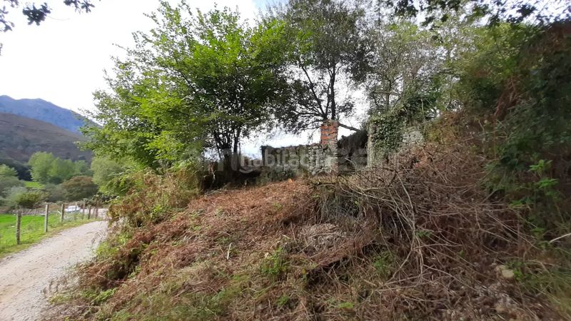 Foto 46b00660-f4e4-4396-b0cf-60b9fa2dc2e7. Finca rústica a Vidiago-Pendueles-Tresgrandras Llanes