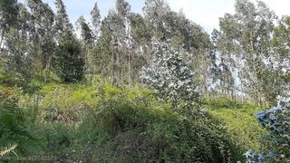 Finca rústica a N/A