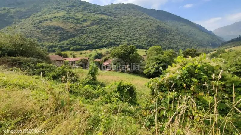 Foto c7ed8849-3346-4a10-8802-7223e888aacf. Finca rústica a Peñamellera Alta