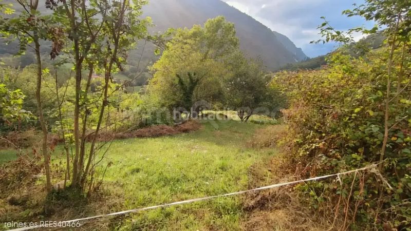 Foto da818240-00eb-4f7f-a57c-990ccc4e579e. Finca rústica a Peñamellera Alta