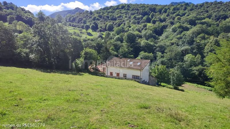 Foto e5fffca7-07c9-4cf1-a526-219ce80645af. Casa venta de casa rees40779 en Cabrales