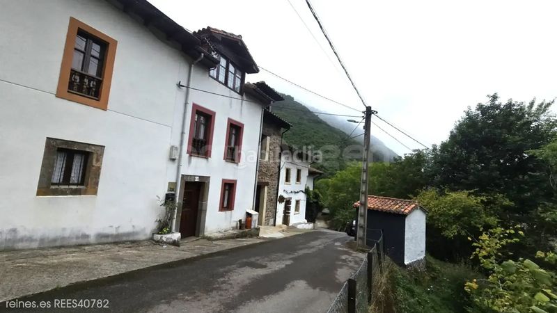 Foto 17dfe2d0-c30c-4287-b31c-a5eedf2d8dcb. Casa a Peñamellera Alta