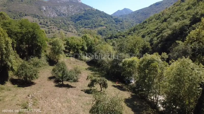 Foto 45d35cf9-4249-4e10-b733-9555af0390a0. Finca rústica a Peñamellera Alta