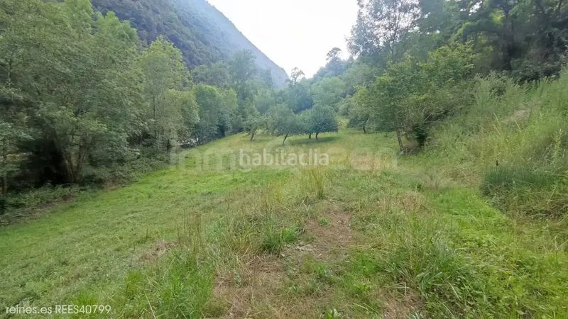 Foto 47c721aa-c1b1-47ae-9869-8a2a987f8bd5. Finca rústica a Peñamellera Alta