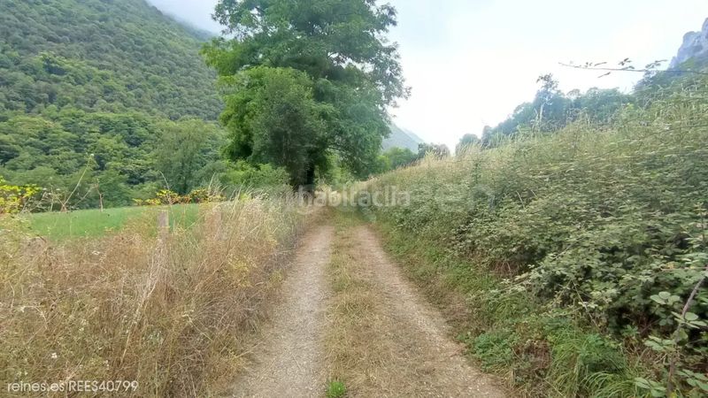 Foto 4bbfe99c-372b-4d56-b204-fb8307727bf7. Finca rústica a Peñamellera Alta