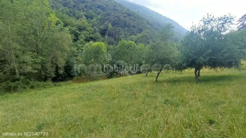 Foto 5e5fc8c3-8b59-437f-9385-f30f8921af55. Finca rústica a Peñamellera Alta