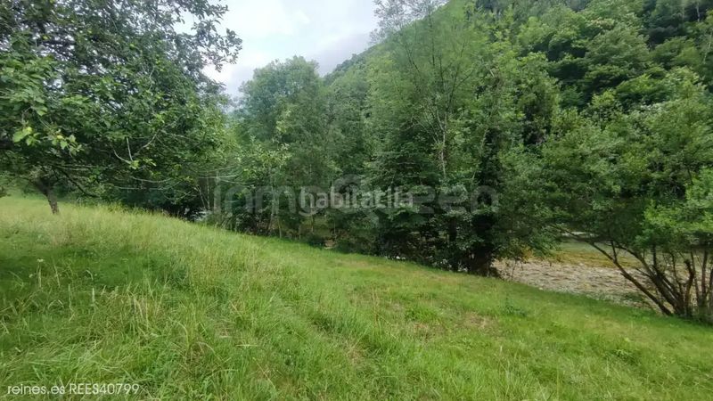 Foto c7fc1e88-dae0-4056-ab0e-3c7abb432803. Finca rústica a Peñamellera Alta