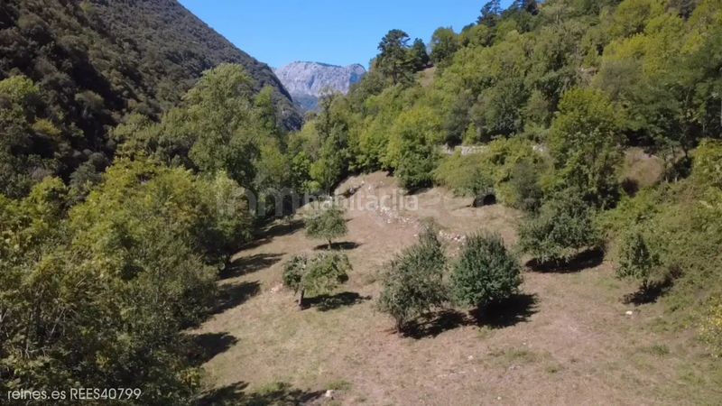 Foto cf1145cb-d4fa-48a0-bb2c-78b8de3cb2f9. Finca rústica a Peñamellera Alta