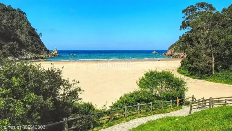 Foto 6b3f6a60-b062-46e0-b2e8-de377d6827c7. Bauernhof in Peñamellera Alta