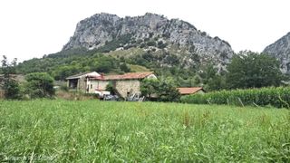 Bauernhof  N/a. Venta de cuadra en peñamellera alta  rees40803