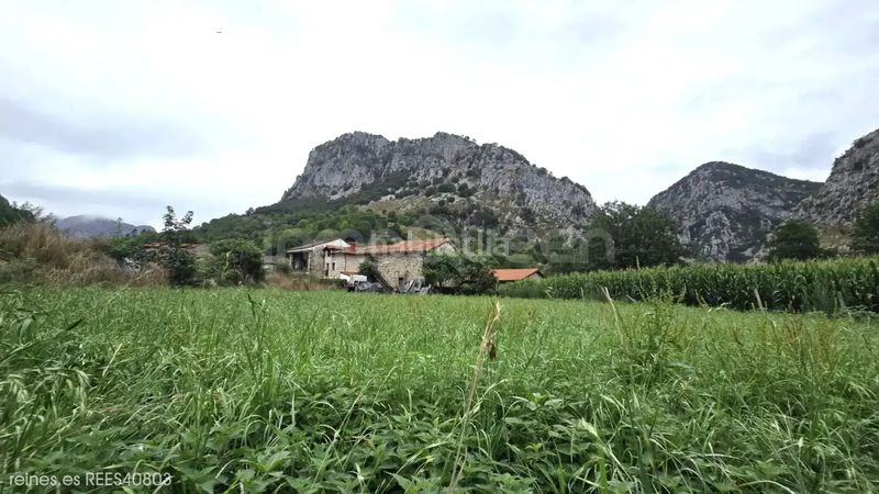 Foto dcdb6ad5-29b4-42ef-9972-1c22c3237273. Bauernhof in Peñamellera Alta