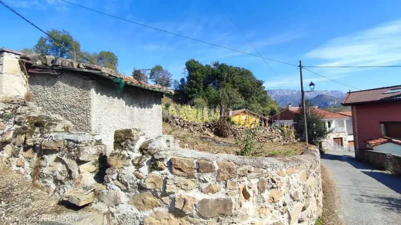 Foto de9ad525-f60a-45bc-be66-5f4114db1bd1. Finca rústica venta de terreno rústico rees40909 en Cabrales
