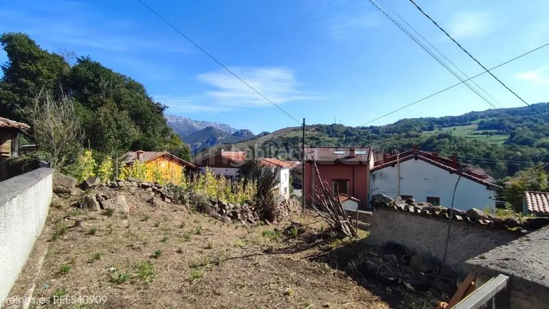 Foto e65e71a1-cd77-4d40-bc8d-d76fe99e209e. Finca rústica venta de terreno rústico rees40909 en Cabrales