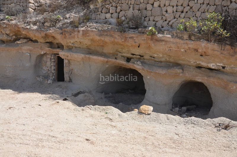 Foto 4669420c-21e6-4811-bd3f-986c000bafcf. Finca rústica a El Escobonal - Pájara Güímar