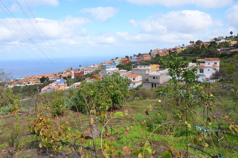 Foto e2d7a5c9-da6e-421c-8c13-2c5cd4872b3a. Casa amb aparcament a La Corujera Santa Úrsula
