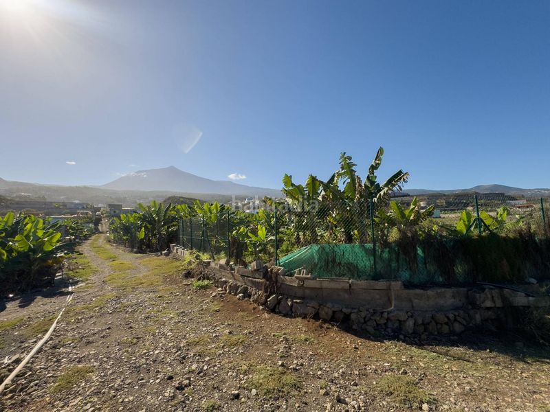 Foto 1dbcee4d-d12a-4327-bebc-9d01f38afd6d. Masia a Guancha (La)