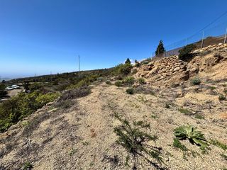Finca r�stica  Pol�gono 8 parcela 1204 vera de l. fasnia (s.c. t. Terreno r�stico en los altos de fasnia