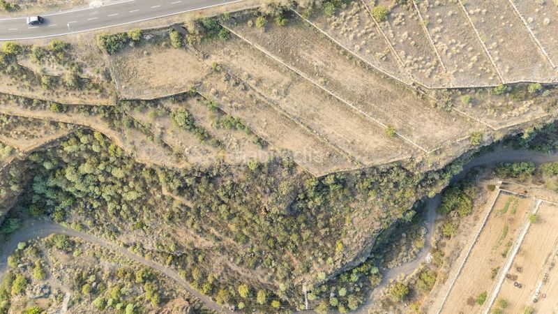 Foto 4152bd6d-5a47-439d-bb8f-4fb9e15f7649. Rural plot in Arafo