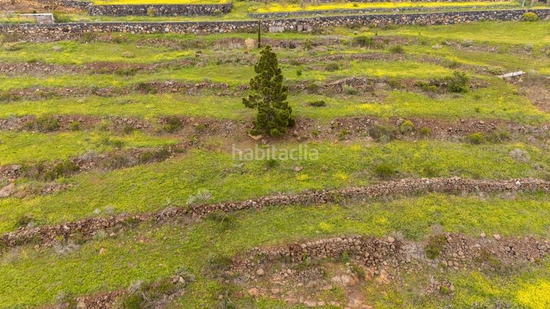 Foto f2ca2a1e-39e2-4630-9286-8833d16a4869. Finca rústica a Casco Urbano Adeje