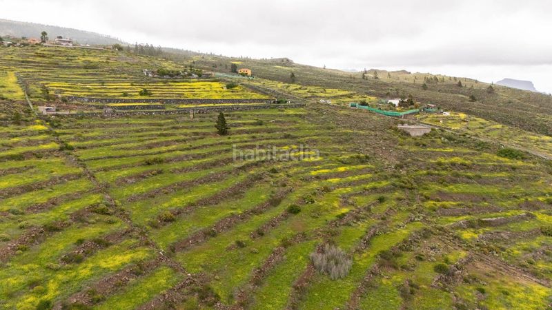 Foto fdd2ed08-ee4a-4353-9920-e1fc21694e65. Finca rústica a Casco Urbano Adeje