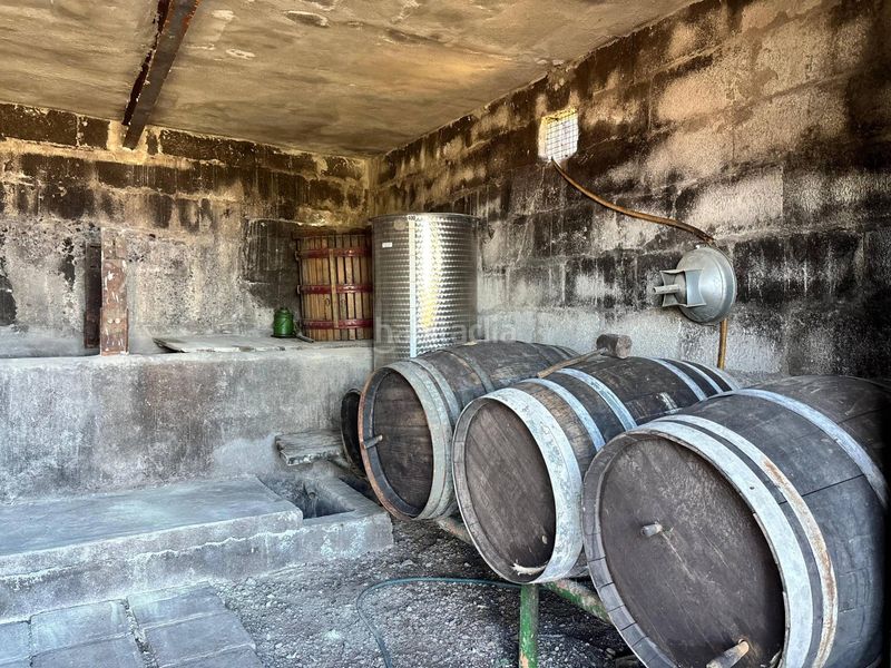 Foto 76a84505-5650-4949-8829-4e45f8e00097. Finca rústica a la asomada 0 a Centro Güímar