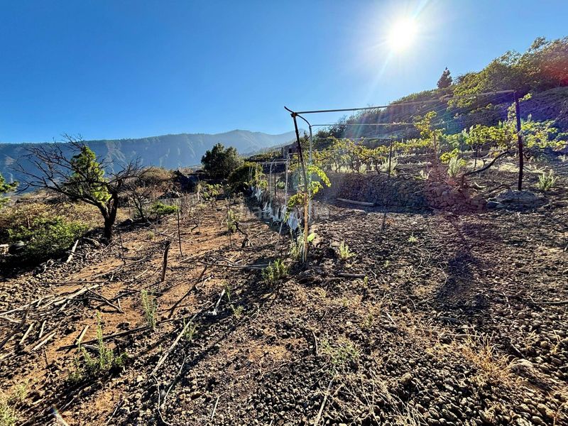 Foto af5fa11f-2279-4d2d-a547-f90fc6f08bd3. Finca rústica a la asomada 0 a Centro Güímar