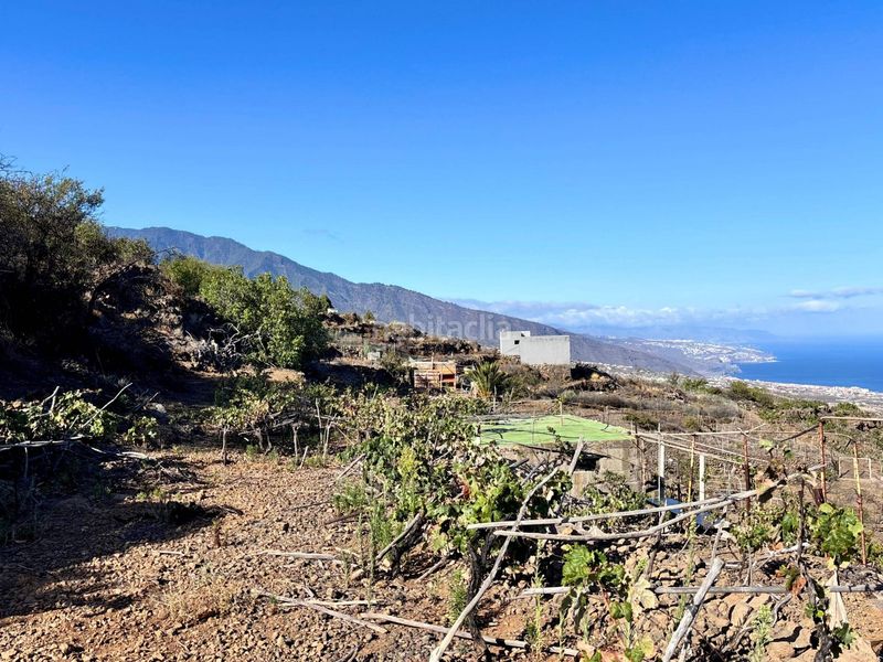 Foto be136573-4b7d-4f4f-94e7-daf474b91180. Finca rústica a la asomada 0 a Centro Güímar