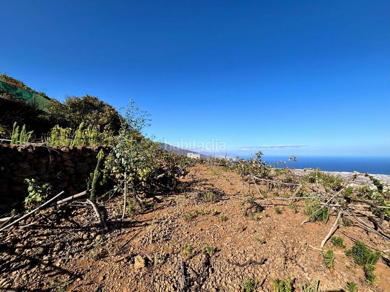 Foto d2ad3134-b2ac-4797-8b80-5bca28e1d807. Finca rústica a la asomada 0 a Centro Güímar