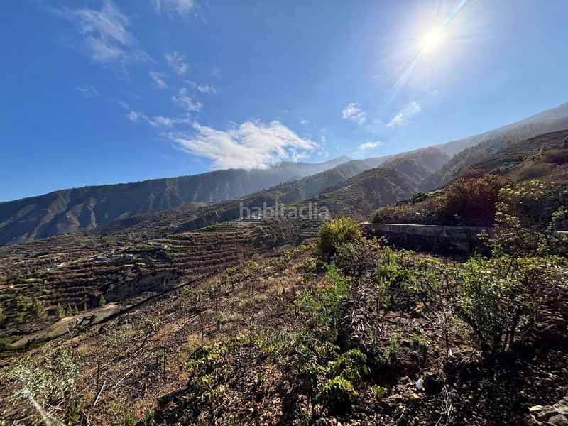 Foto f4cbcf63-0235-4c3d-90da-abe6e12636a6. Finca rústica a la asomada 0 a Centro Güímar