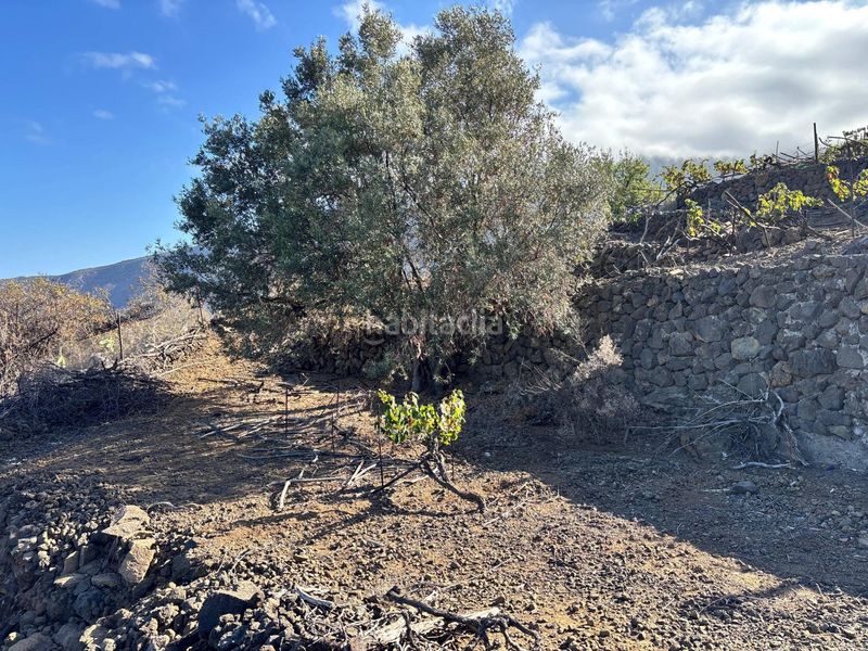 Foto f538b3a7-26e6-407c-a2fa-6e95d46efac0. Finca rústica a la asomada 0 a Centro Güímar