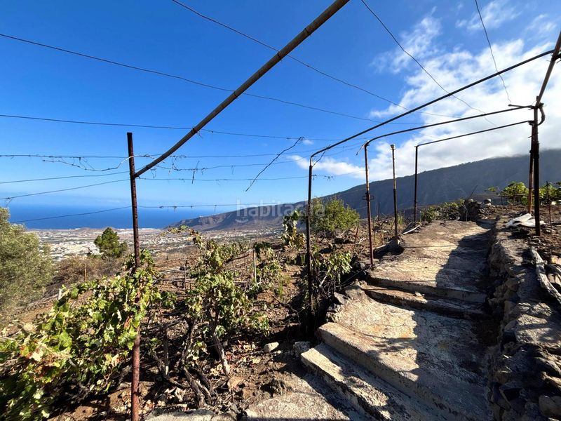Foto ff985fad-5bb5-4580-8a9a-3341ed7e72b0. Finca rústica a la asomada 0 a Centro Güímar