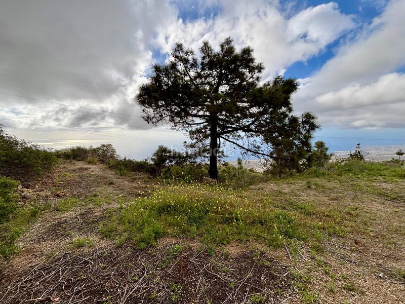 Foto a3a64d73-6a48-4977-bb89-055833730e1c. Rural plot in camino camino amea in El Escobonal - Pájara Güímar