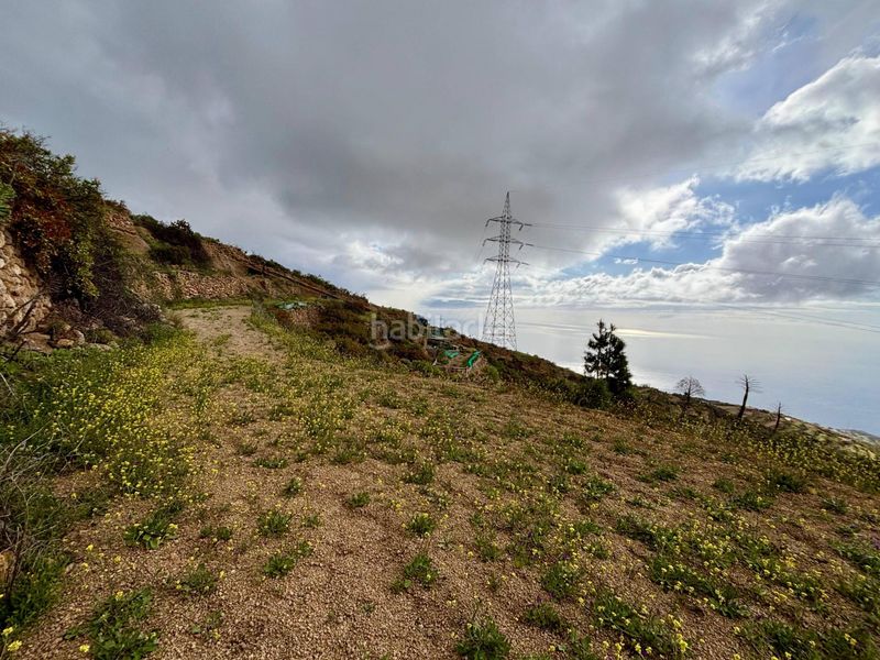 Foto d9da0bcb-3181-4a8a-b773-e215563fbfa1. Rural plot in camino camino amea in El Escobonal - Pájara Güímar