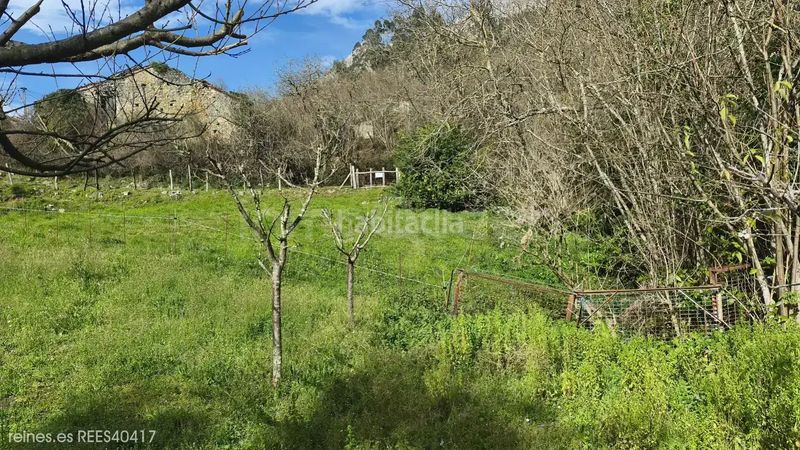 Foto 460980c5-777f-4fc5-a103-f82611aeae76. Casa venta de casa rees40417 en Peñamellera Alta