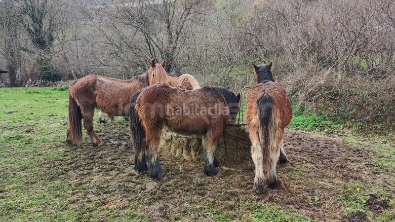 Foto b8df0da6-ec5d-4276-b65f-997e84d40aaa. Finca rústica venta de terreno rústico rees40268 en Bárcena de Pie de Concha